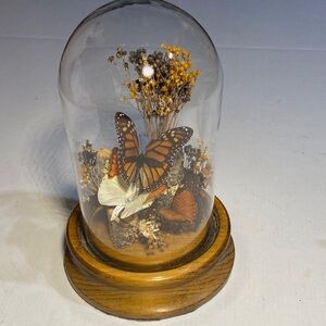 Butterfly and Dried Floral Glass Dome Display